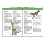 картинка Пазл на наблюдательность "Динозавры" (буклет) интернет-магазин Киндермир